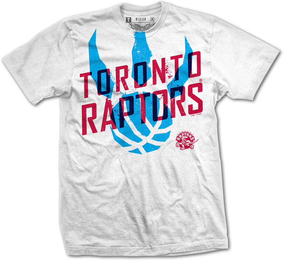 Raptors illustration